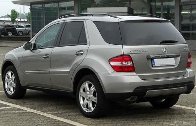 ML 3